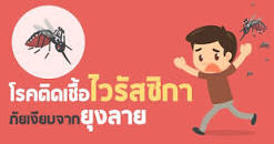 ประชาสัมพันธ์การป้องกันโรคติดเชื้อไวรัสซิกก้า